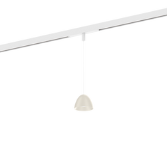 COZY CONE on STREX 3.0 – Live Simple