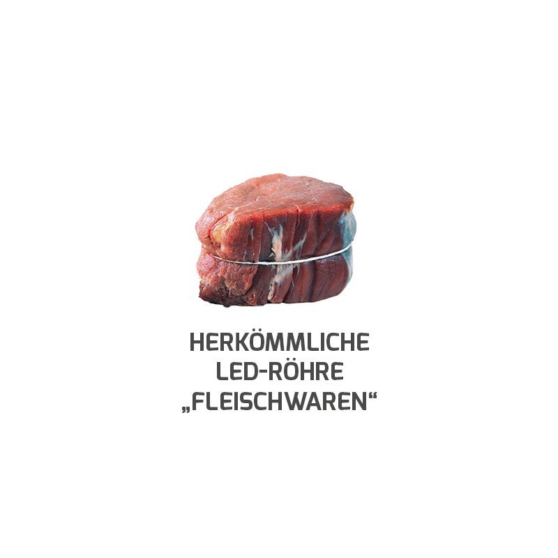 DOTLUX LED - Röhre LUMENPLUS 90cm 10W Fleischfarbe gefrostet drehbare Endkappe - Dotlux - 1730 - 1