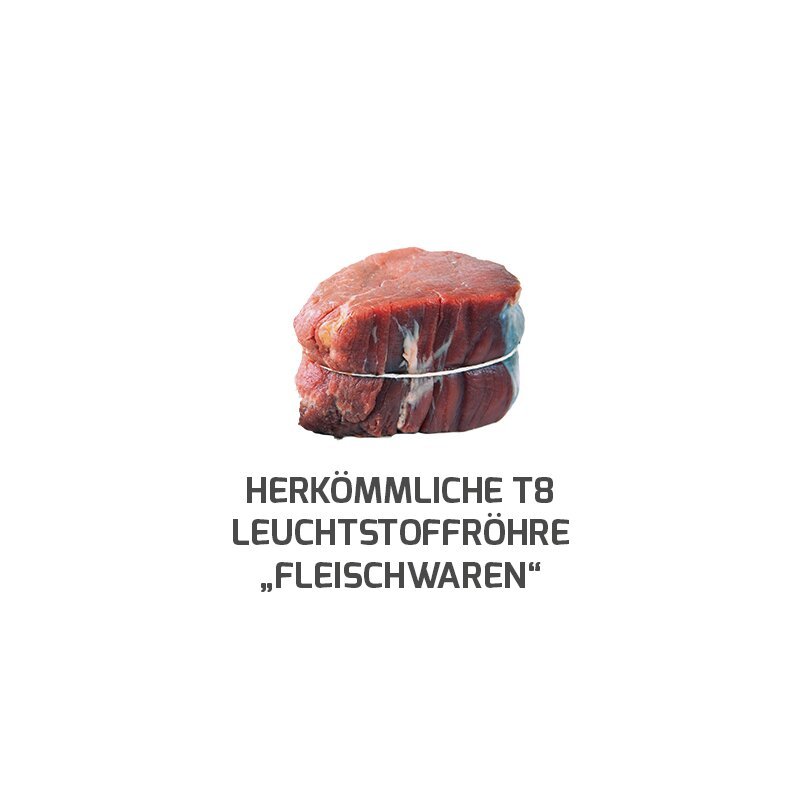 DOTLUX LED - Röhre LUMENPLUS 90cm 10W Fleischfarbe gefrostet drehbare Endkappe - Dotlux - 1730 - 1