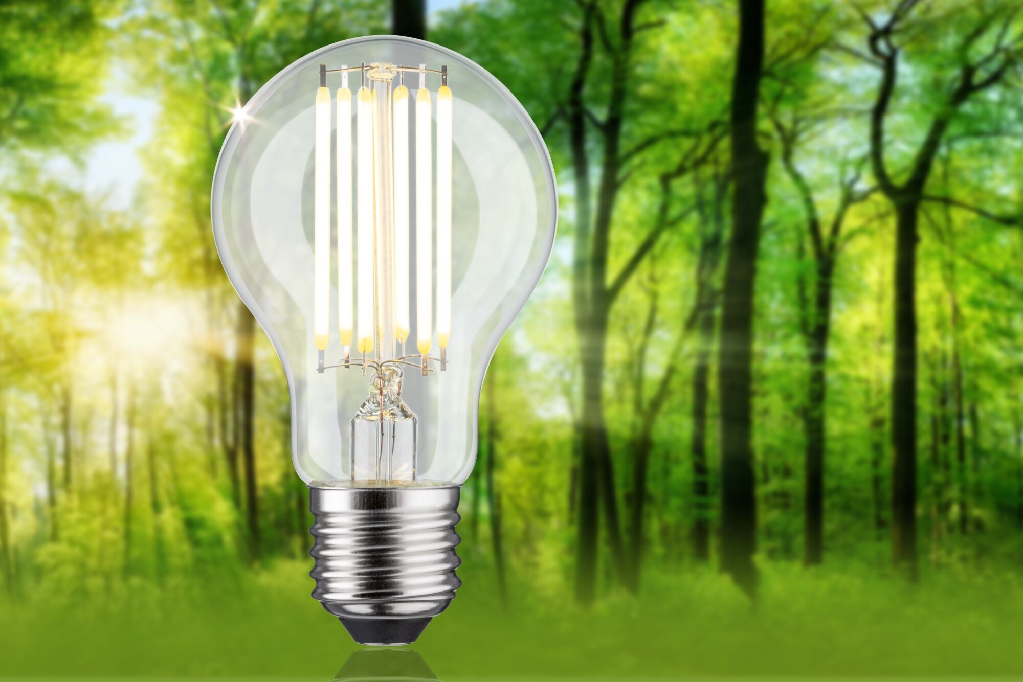 Eco - Line LED Birne 1er - Set 1055lm 5W 3000K Klar - Paulmann - 29219