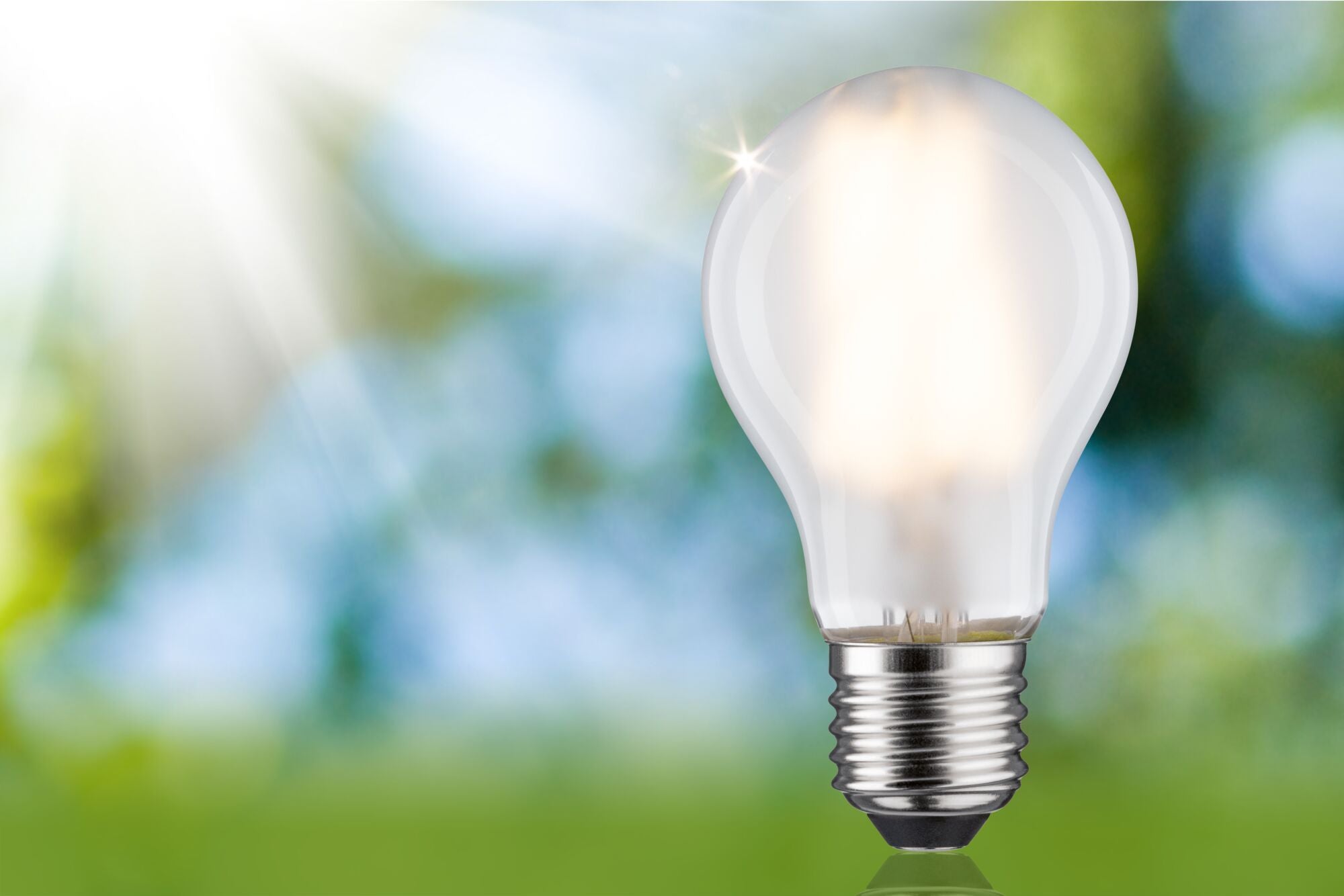 Eco - Line LED Birne 1er - Set 525lm 2,5W 3000K Matt - Paulmann - 29223