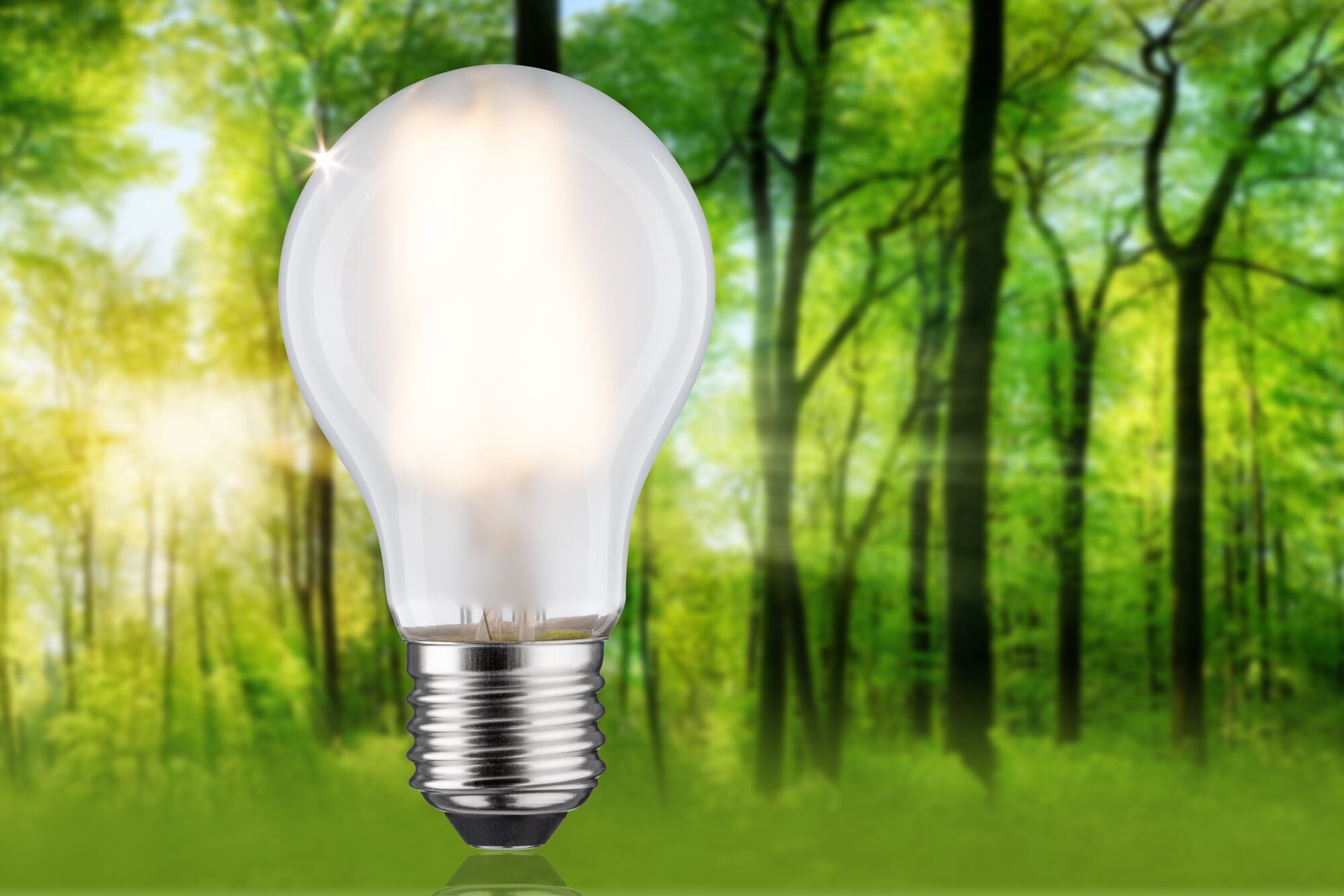 Eco - Line LED Birne 1er - Set 840lm 4W 3000K Matt - Paulmann - 29224