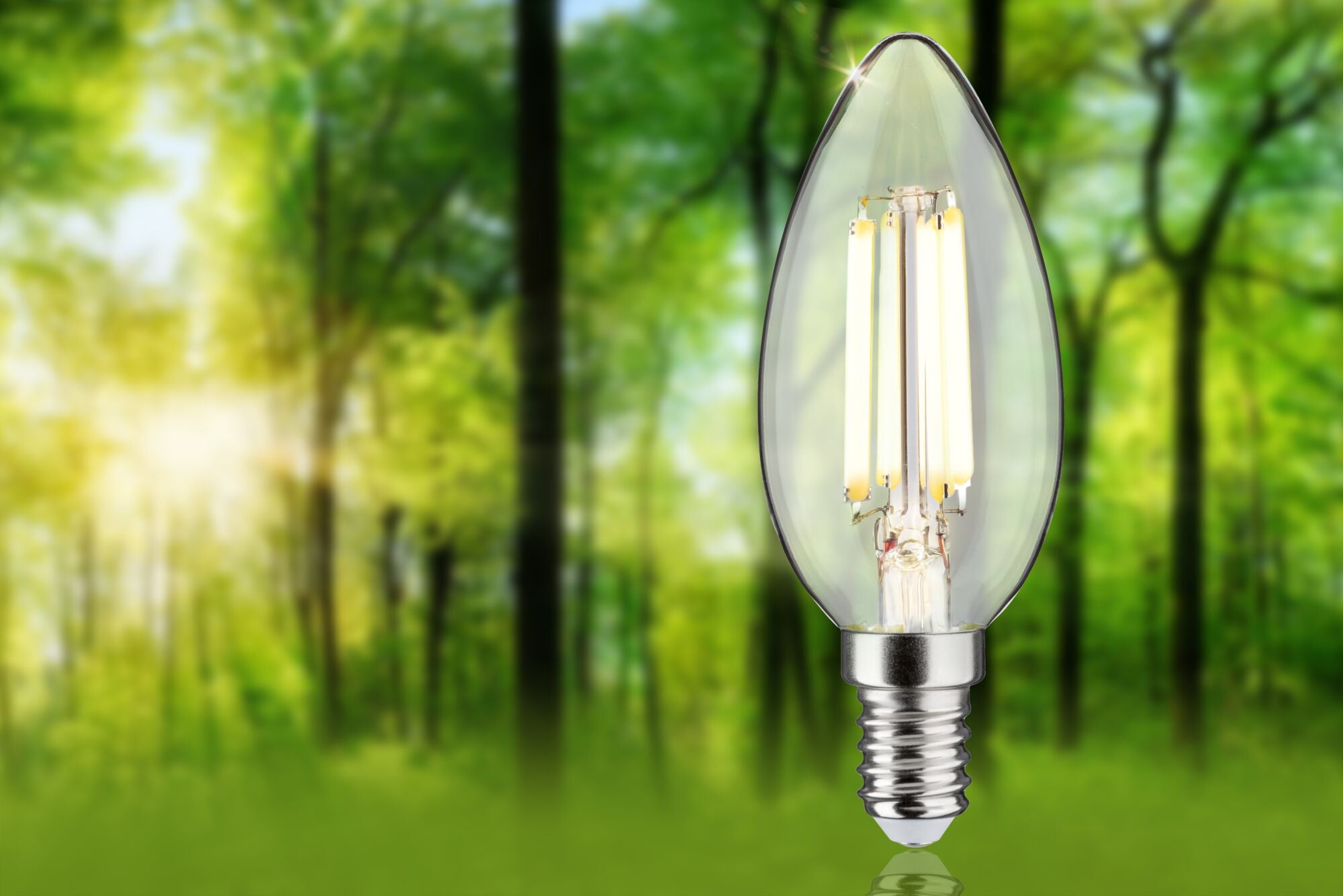 Eco - Line LED Kerze 1er - Set 98mm 525lm 2,5W 3000K Klar - Paulmann - 29195