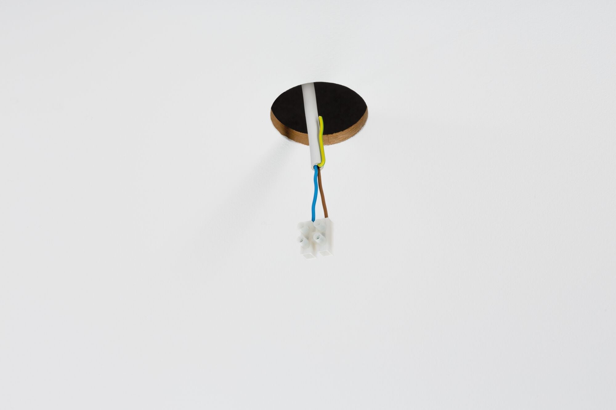 Einbauadapter Einbauadapter Pendelleuchte für Einbaudurchmesser 68 mm 92mm Weiß matt - Paulmann - 92496