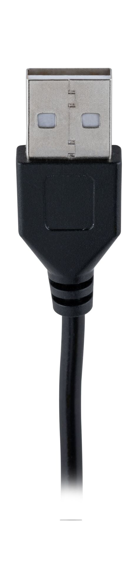 EntertainLED Black Neon 3m 5W 84 LEDs/m RGB+ - Paulmann - 79556
