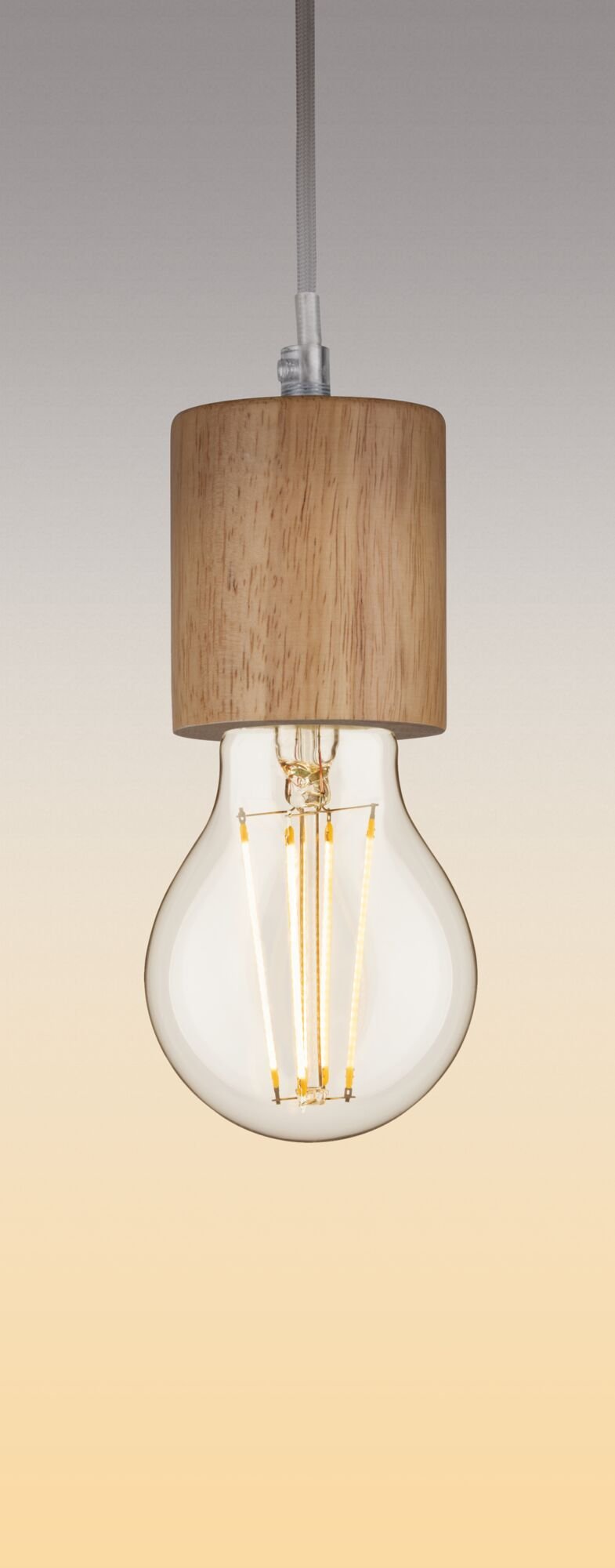 Filament 230V LED Birne E27 470lm 5W 2700K dimmbar Klar - Paulmann - 28570
