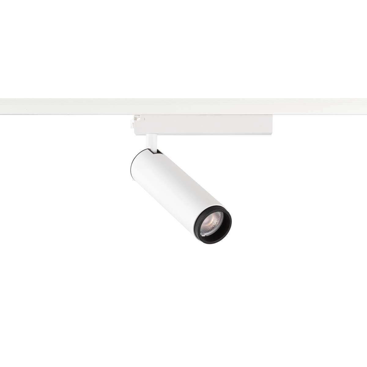 GRIP! M 1~ Spot, zylindrisch, 2000 - 3000 K, 15 W, Dim - to - Warm, PHASE, 42° - SLV - 1008430