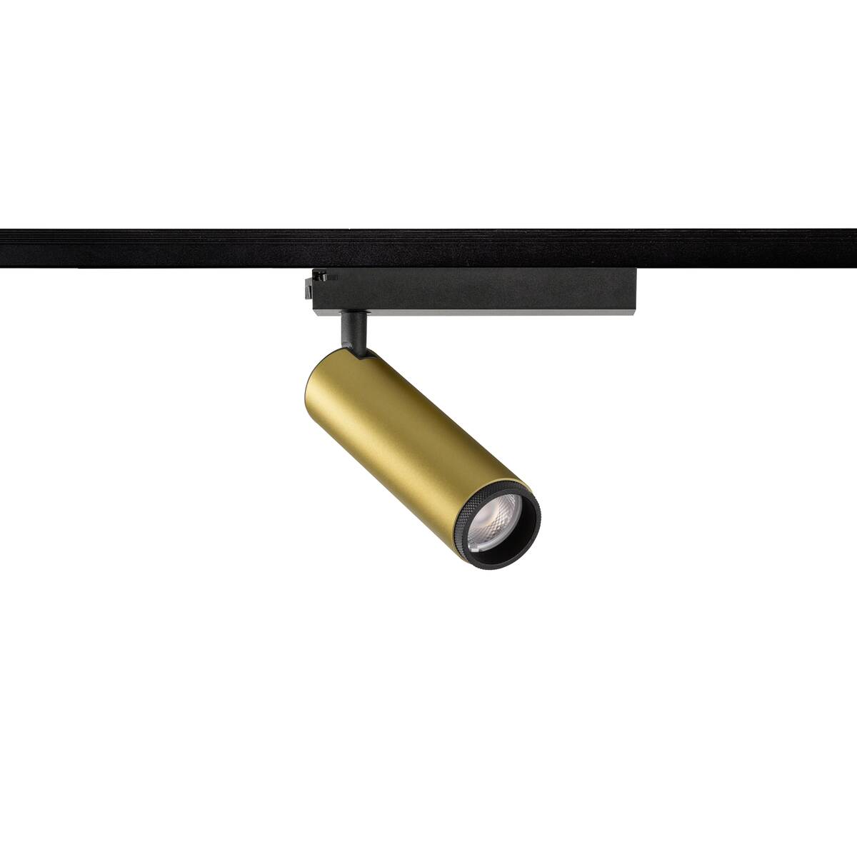 GRIP! M 1~ Spot, zylindrisch, 2000 - 3000 K, 15 W, Dim - to - Warm, PHASE, 42° - SLV - 1008434