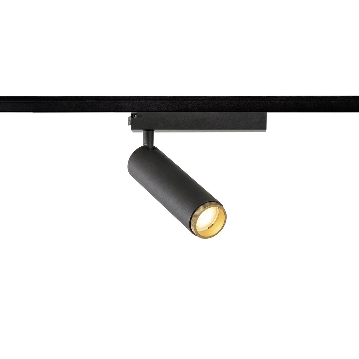 GRIP! M 1~ Spot, zylindrisch, 2000 - 3000 K, 15 W, Dim - to - Warm, PHASE, 42° - SLV - 1008432