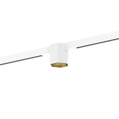 HEXO on STREX 1.0 Weiß / Gold – Adapter Weiß