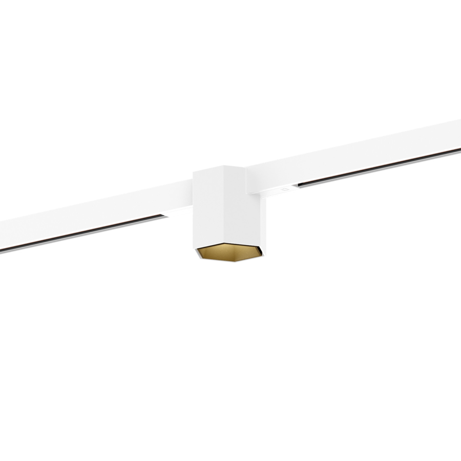 HEXO on STREX 1.0 Weiß / Gold – Adapter Weiß