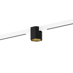 Wever & Ducré HEXO on STREX 1.0 Schwarz / Gold – Adapter Weiß