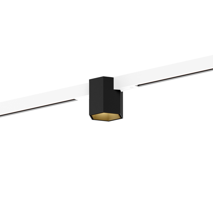 Wever & Ducré HEXO on STREX 1.0 Schwarz / Gold – Adapter Weiß