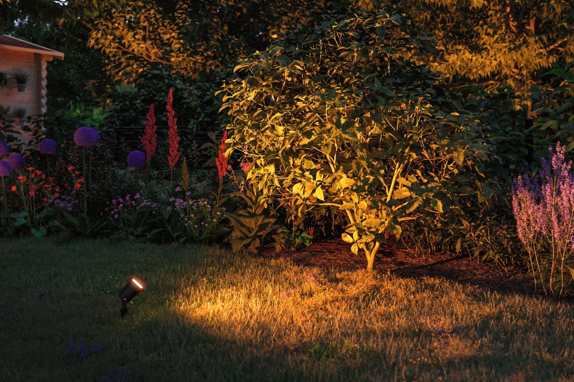 LED Gartenstrahler Goldlicht IP65 rund 92mm 2200K 4,3W 320lm 230V 38 - 38° Schwarz Metall - Paulmann - 94731
