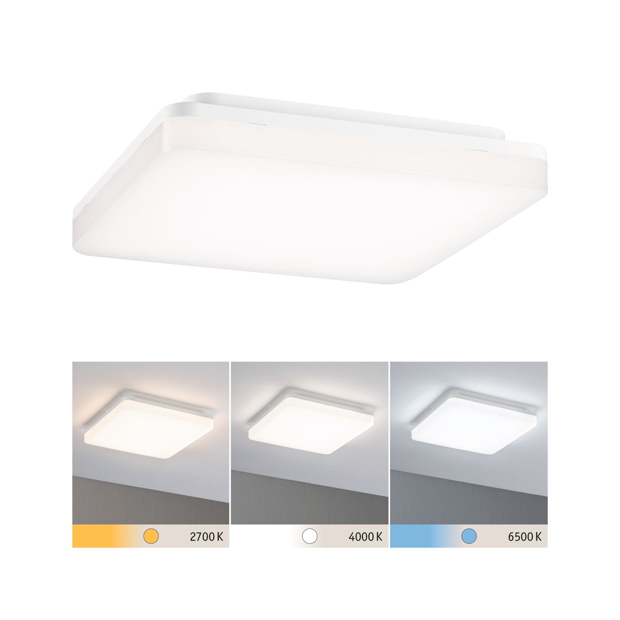 LED Panel Cela IP44 eckig 280x280mm 15,5W 1650lm White Switch Weiß matt - Paulmann - 79839