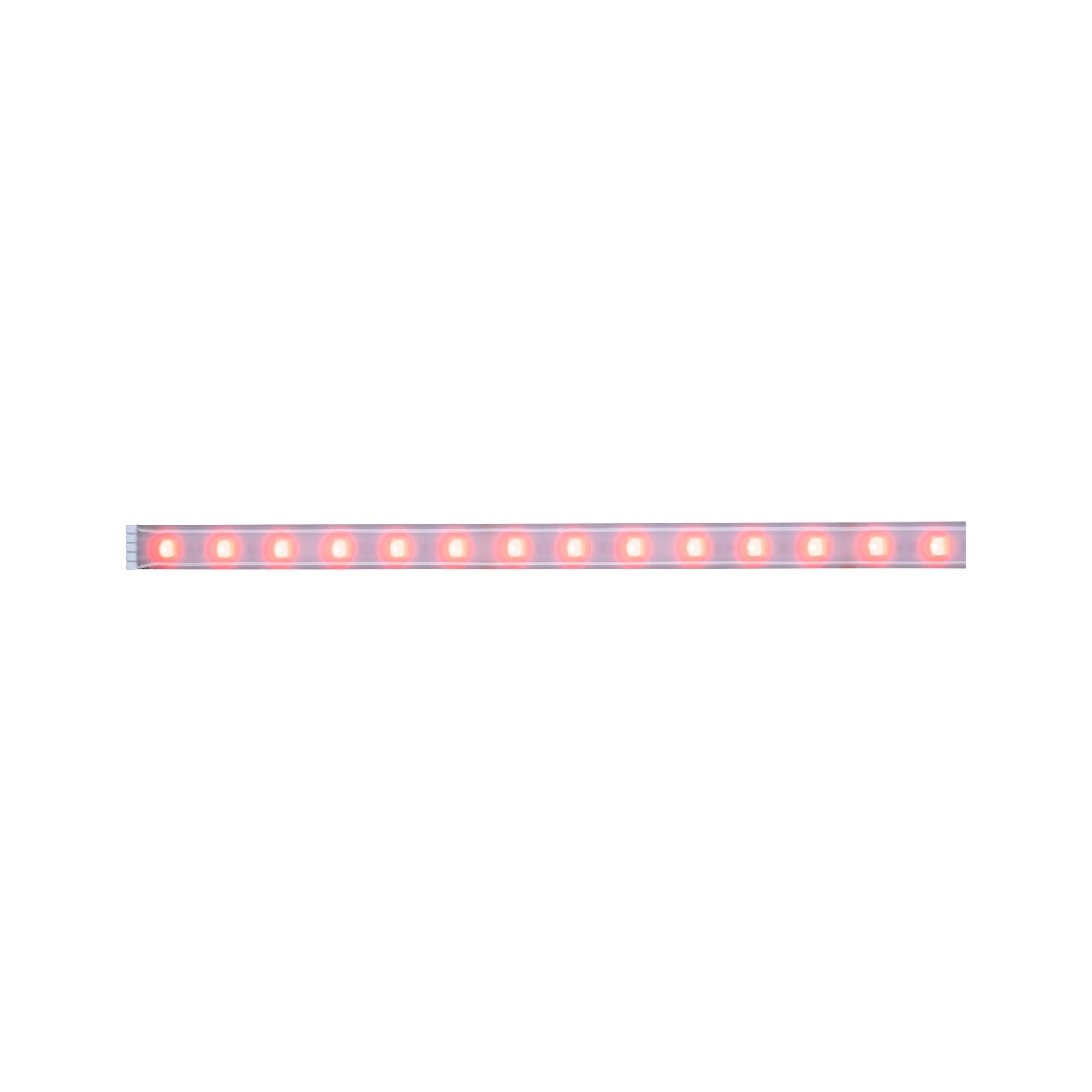 MaxLED 500 RGBW Einzelstripe 1m beschichtet IP44 12W 440lm/m RGBW+ - Paulmann - 70634