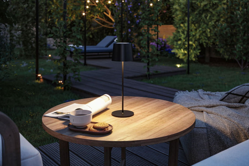 Portable rechargeable outdoor light for patio and garden