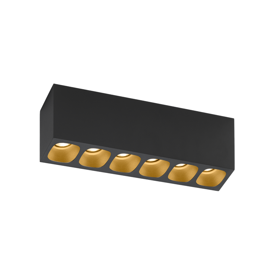 Pirro 6.0 LED
