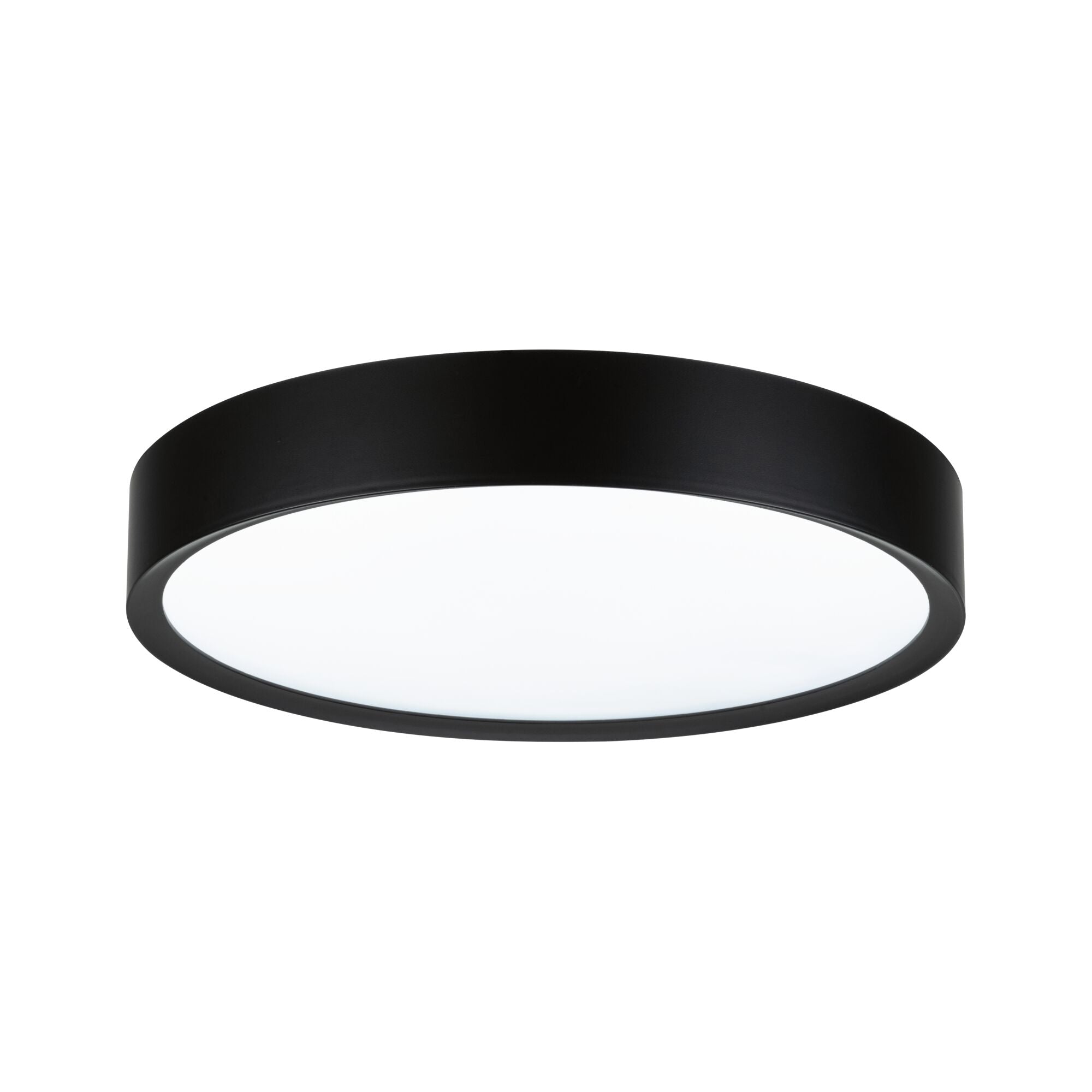 Selection Bathroom Tega IP44 White Switch 1200lm 230V 22,5W Schwarz matt - Paulmann - 71086