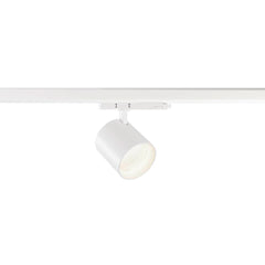 TRACKSPOT C 3 Ph. 17W 940 36° - SLV - 1008864