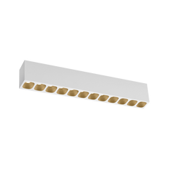  PIRRO petit SURFACE 12.0