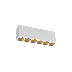  PIRRO petit SURFACE 6.0