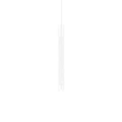 TRACE SUSPENDED 1.1
