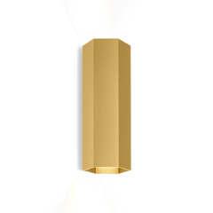 HEXO MINI 2.0 PAR16