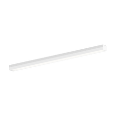 ILANE 2.0 Profile