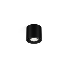 RAY mini 1.0