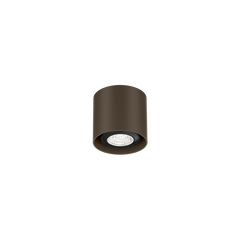 RAY mini 1.0