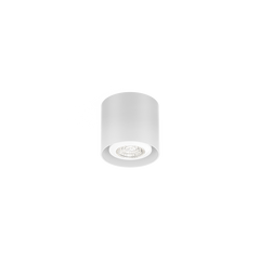 RAY mini 1.0